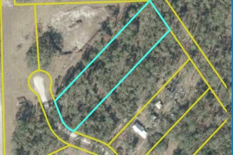 Land in Mayo, Florida № 2351788