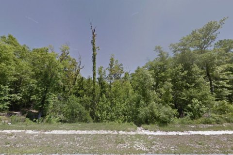 Land in Panama City, Florida № 1910093 - photo 1