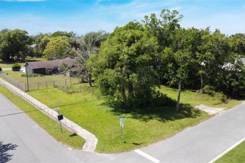 Land in Sanford, Florida № 1616082 - photo 1