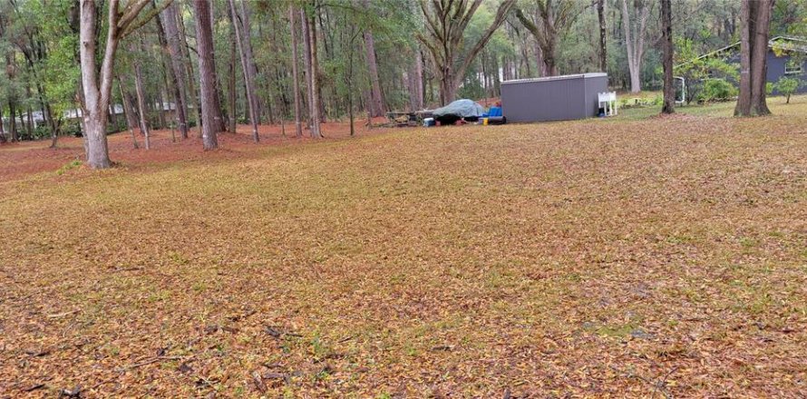 Terreno en Gainesville, Florida № 1885140