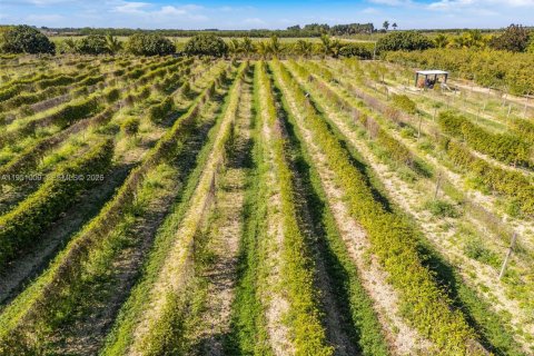 Propiedad comercial en venta en Florida City, Florida № 2008533 - foto 3