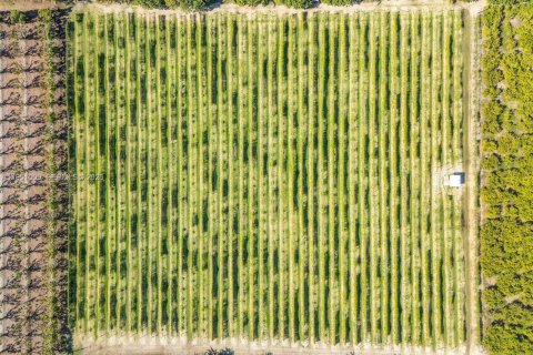 Propiedad comercial en venta en Florida City, Florida № 2008533 - foto 7