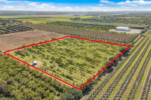 Propiedad comercial en venta en Florida City, Florida № 2008533 - foto 9