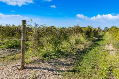 Propiedad comercial en venta en Florida City, Florida № 2008533 - foto 6