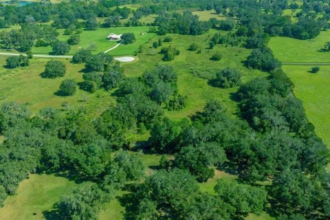 Land in Morriston, Florida № 1769988 - photo 3