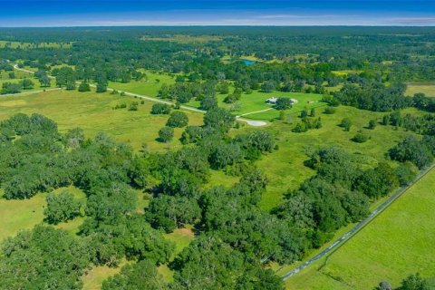 Land in Morriston, Florida № 1769988 - photo 2