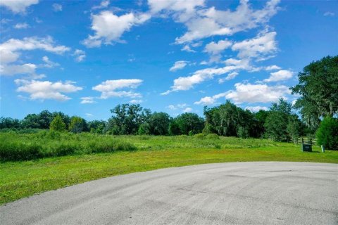 Land in Morriston, Florida № 1769988 - photo 9