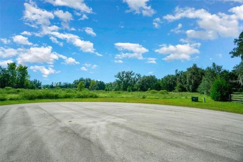 Land in Morriston, Florida № 1769988 - photo 8