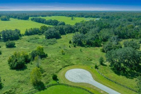 Land in Morriston, Florida № 1769988 - photo 7