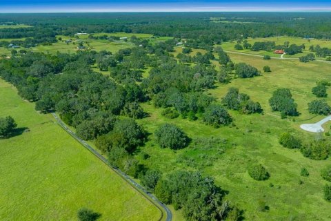 Land in Morriston, Florida № 1769988 - photo 5
