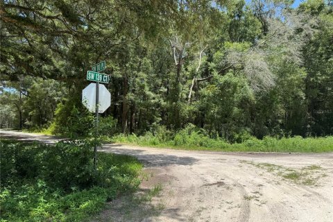Terrain à vendre à Dunnellon, Floride № 2207962 - photo 5
