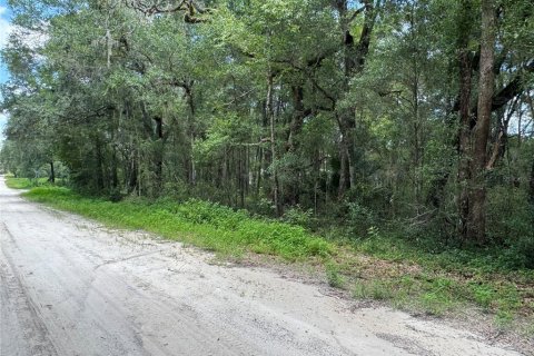 Terrain à Dunnellon, Floride № 2207962