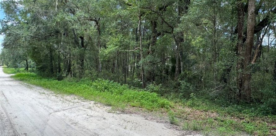 Terrain à Dunnellon, Floride № 2207962