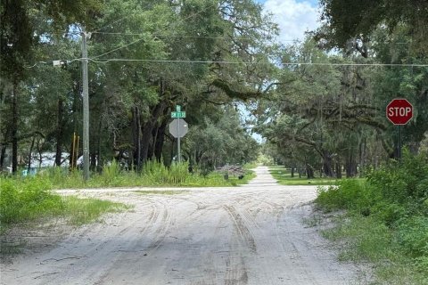 Terrain à vendre à Dunnellon, Floride № 2207962 - photo 8