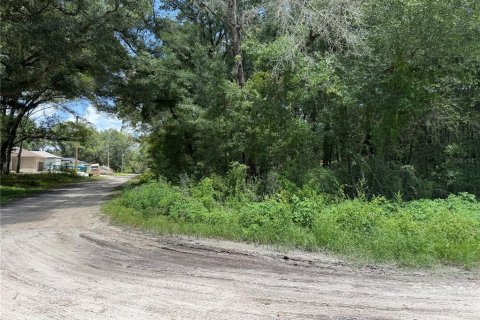 Terrain à vendre à Dunnellon, Floride № 2207962 - photo 6