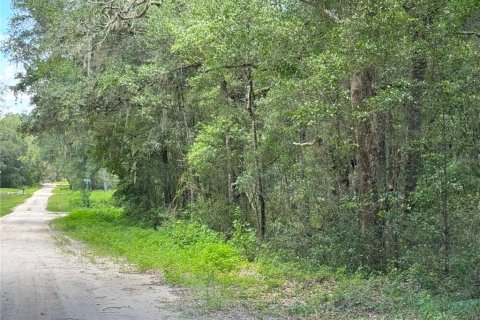 Terrain à vendre à Dunnellon, Floride № 2207962 - photo 2