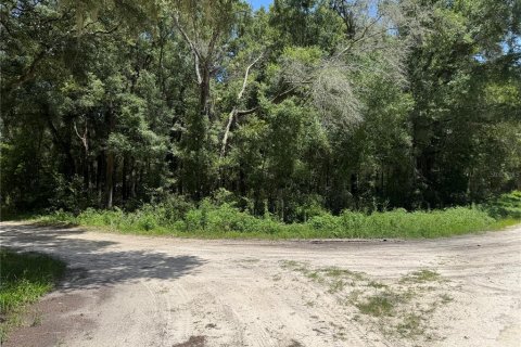 Terrain à vendre à Dunnellon, Floride № 2207962 - photo 3