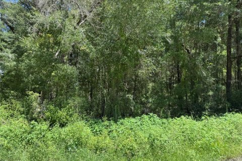 Terrain à vendre à Dunnellon, Floride № 2207962 - photo 4