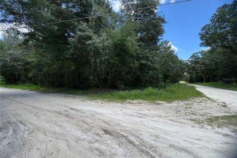 Terrain à vendre à Dunnellon, Floride № 2207962 - photo 7