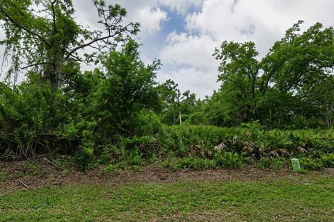 Terreno en Port Charlotte, Florida № 2258541