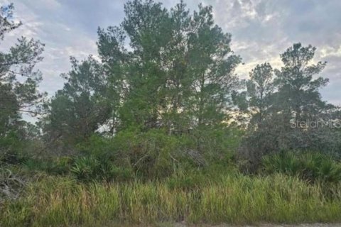 Commercial property in Sebring, Florida № 2391820 - photo 2
