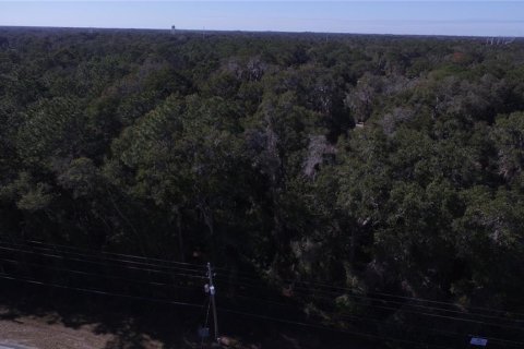 Terrain à vendre à Ocala, Floride № 1602774 - photo 20