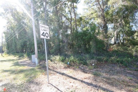 Terrain à vendre à Ocala, Floride № 1602774 - photo 4