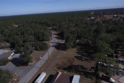 Terrain à vendre à Ocala, Floride № 1602774 - photo 27