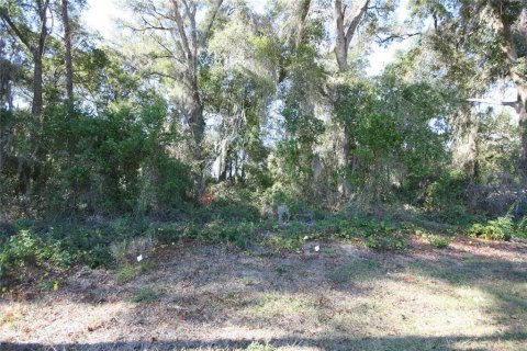 Terrain à vendre à Ocala, Floride № 1602774 - photo 5