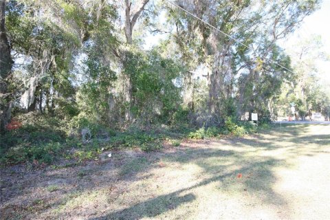 Terrain à vendre à Ocala, Floride № 1602774 - photo 6