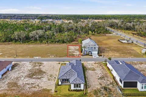 Land in Flagler Beach, Florida № 2108624 - photo 6
