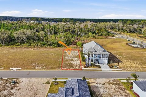 Land in Flagler Beach, Florida № 2108624 - photo 3