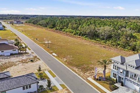 Land in Flagler Beach, Florida № 2108624 - photo 5