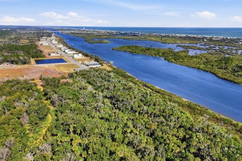 Land in Flagler Beach, Florida № 2108624 - photo 11