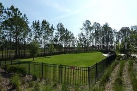 Casa en alquiler en Land O' Lakes, Florida, 3 dormitorios, 182.83 m2 № 1848230 - foto 17