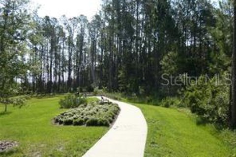 Casa en alquiler en Land O' Lakes, Florida, 3 dormitorios, 182.83 m2 № 1848230 - foto 20