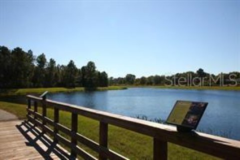 Casa en alquiler en Land O' Lakes, Florida, 3 dormitorios, 182.83 m2 № 1848230 - foto 13