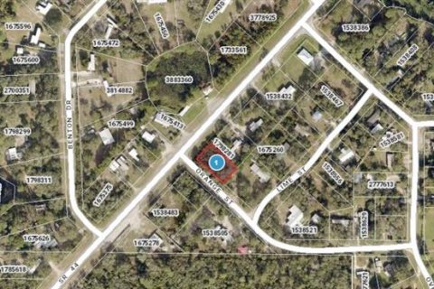 Land in Eustis, Florida № 2161972