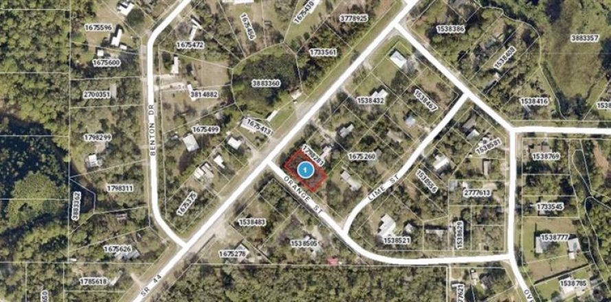 Land in Eustis, Florida № 2161972