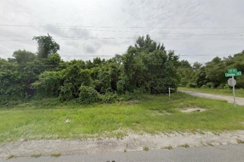 Land in Eustis, Florida № 2161972 - photo 4