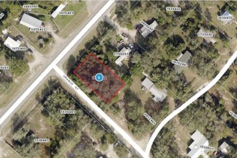 Land in Eustis, Florida № 2161972 - photo 2