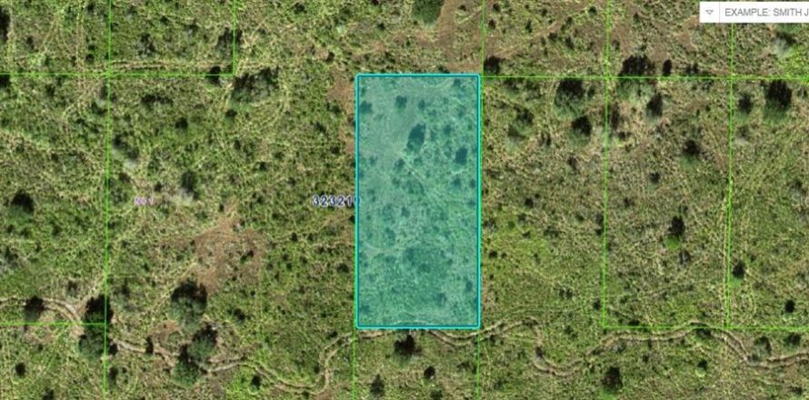 Terrain à Frostproof, Floride № 2164040