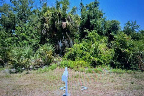 Immobilier commercial à vendre à Port Charlotte, Floride № 1961585 - photo 1