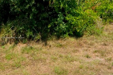 Immobilier commercial à vendre à Port Charlotte, Floride № 1961585 - photo 5