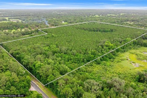 Terrain à Reddick, Floride № 2389087