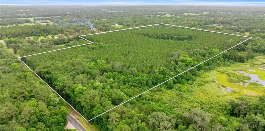 Terrain à Reddick, Floride № 2389087