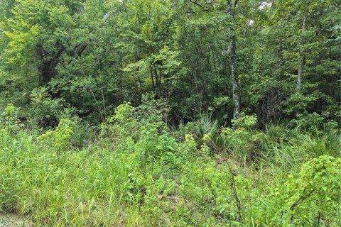 Land in Belleview, Florida № 2162877
