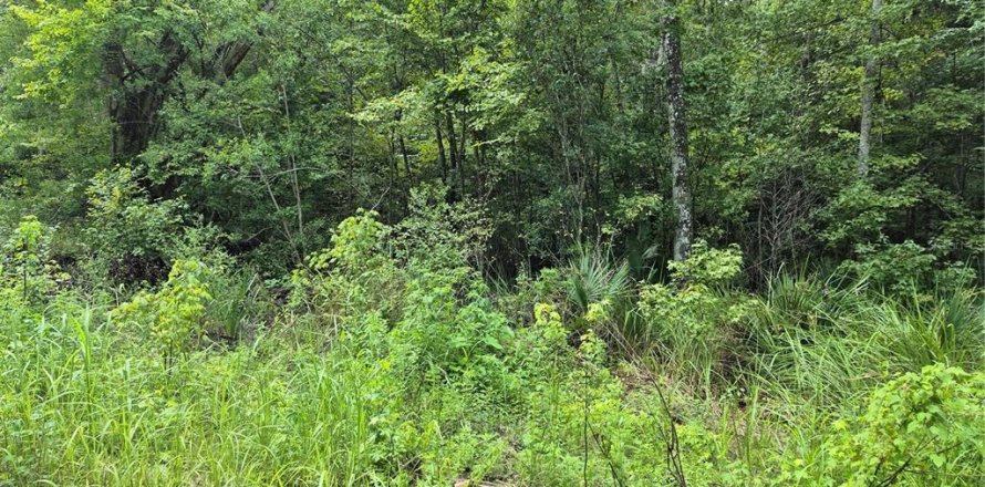 Land in Belleview, Florida № 2162877