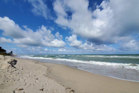 Casa en alquiler en Hollywood, Florida, 5 dormitorios, 295.06 m2 № 1968254 - foto 6