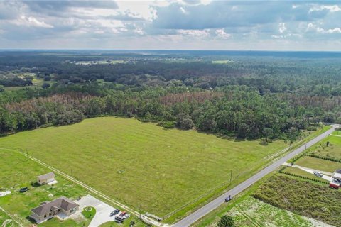 Land in Polk City, Florida № 2166097 - photo 2